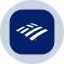 Bank of America Tokenized Stock (Ondo)