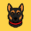 Belgian Malinois