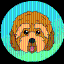 Cockapoo