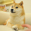 Own The Doge
