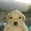 Jotchua (jotchua.net)