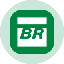 Petrobras Tokenized Stock (Ondo)