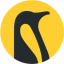 Penguin Solutions Inc (Derivatives)