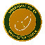 SmartGolfToken