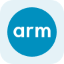 Arm Tokenized Stock (Reality)