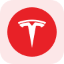 Tesla Tokenized Stock (Reality)